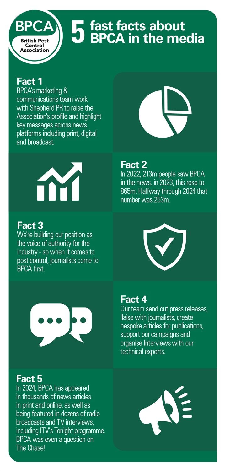 infographic infographic